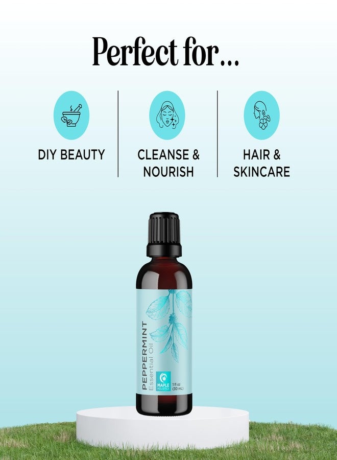 Maple Holistics Peppermint Essential Oil for Diffuser Aromatherapy - 100% Pure Peppermint Oil for Hair Skin and Nails Plus Undiluted Refreshing Aromatherapy Essential Oil for Diffusers Baths and Topical Uses 1oz - Image 2